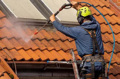Démoussage et hydrofuge de toiture à Prémillieu